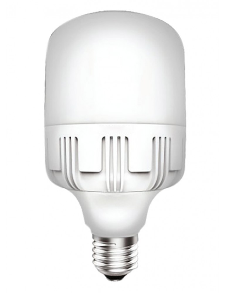 FOCO LED  40W 6500K 100-240V